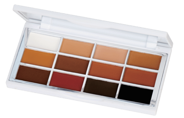 SS-23005-FG Dreamy Starry Twelve - Color Eyeshadow Palette